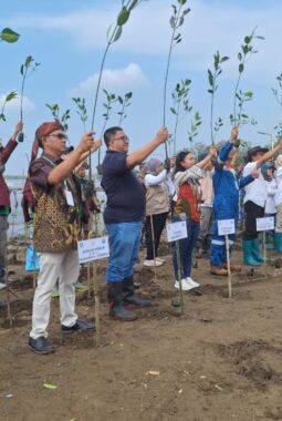 Tanam Ribuan Mangrove, PT Pegadaian Kantor Wilayah X Jawa Barat Bekerjasama dengan Dinas Kelautan & Perikanan (DKP) Jawa Barat Dalam Kegiatan “Bulan Cinta Laut Tahun 2025