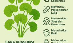Antanan: Tanaman Herbal dengan Segudang Manfaat