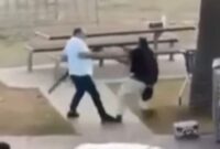 Aksi Berani Pedagang Buah Muslim Hentikan Penyerang di Sydney (Foto: Sky News)