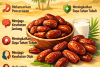 Buah kurma kaya nutrisi dan energi alami. Simak manfaat buah kurma untuk kesehatan, mulai dari pencernaan, jantung, hingga daya tahan tubuh.
