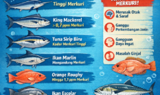 Daftar 7 Ikan Bermerkuri Tinggi, Berbahaya bagi Ibu Hamil dan Anak