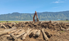 BNPB Percepat Pemulihan Pascabanjir Bandang di Kampung Toweren Aceh Tengah, Sawah Tertutup Kayu