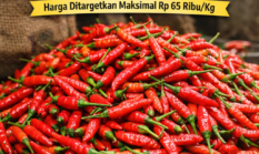 Kementan Guyur 1,7 Ton Cabai Rawit Merah ke Pasar Induk Kramat Jati, Harga Ditargetkan Maksimal Rp65 Ribu