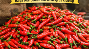 Kementan Guyur 1,7 Ton Cabai Rawit Merah ke Pasar Induk Kramat Jati, Harga Ditargetkan Maksimal Rp65 Ribu