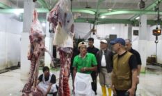 Kementan Sidak Harga Daging dan Telur di 5 Daerah, Pastikan Stok Aman hingga Idulfitri