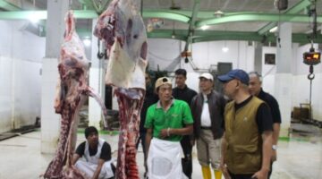 Kementan Sidak Harga Daging dan Telur di 5 Daerah, Pastikan Stok Aman hingga Idulfitri (Foto:kementan)