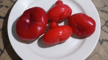 Manfaat Jambu Air untuk Kesehatan, Kandungan Gizi dan Alasan Rasanya Bisa Sedikit Asam