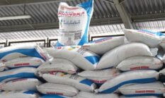 Pemerintah Rombak Tata Kelola Pupuk Bersubsidi, Andi Amran Sulaiman Targetkan Efisiensi Anggaran 20 Persen