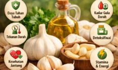 7 Manfaat Bawang Putih untuk Kesehatan Tubuh dan Kandungan Nutrisi di Dalamnya
