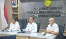 Harga Ayam Hidup Disepakati Rp19.500 per Kg, Kementan Jaga Stabilitas Peternak