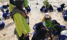 Pendidikan Berkelanjutan Diperkuat, Murid Diajak Menjaga Lingkungan Lewat Aksi Nyata