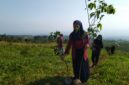 Kegiatan Cisadane Resik sedang melakukan penghijauan di kaki Gunung Salak