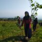 Kegiatan Cisadane Resik sedang melakukan penghijauan di kaki Gunung Salak