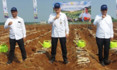 Kementan Gelar Tanam Serentak Tebu di 30 Kabupaten, Percepat Target Swasembada Gula Nasional