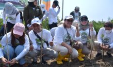 Bio Farma Tanam 10.000 Bibit Mangrove di Karawang, Perkuat Komitmen ESG dan Mitigasi Perubahan Iklim