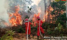 Dampak Karhutla, Kemendikdasmen Siapkan Protokol Pembelajaran Darurat Asap