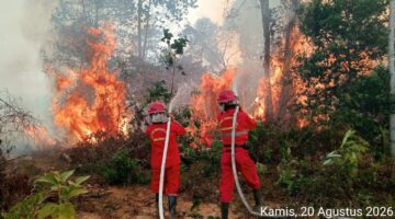 Dampak Karhutla, Kemendikdasmen Siapkan Protokol Pembelajaran Darurat Asap