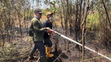 Kemenhut Dorong PBPH Perkuat Pengendalian Karhutla di Kalsel