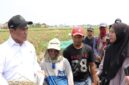 Janji Mentan Amran ke Petani Karawang Direalisasikan dalam Hitungan Jam