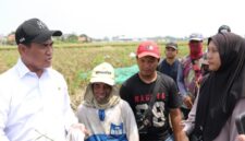 Janji Mentan Amran ke Petani Karawang Direalisasikan dalam Hitungan Jam