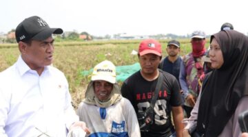 Janji Mentan Amran ke Petani Karawang Direalisasikan dalam Hitungan Jam