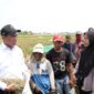 Janji Mentan Amran ke Petani Karawang Direalisasikan dalam Hitungan Jam