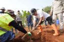 Pemprov Jabar Revitalisasi 32 Hektare Kebun Karet Jalupang Subang