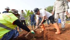 Pemprov Jabar Revitalisasi 32 Hektare Kebun Karet Jalupang Subang