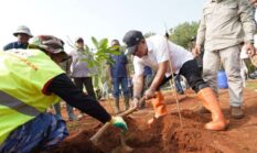 Pemprov Jabar Revitalisasi 32 Hektare Kebun Karet Jalupang Subang