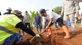 Pemprov Jabar Revitalisasi 32 Hektare Kebun Karet Jalupang Subang