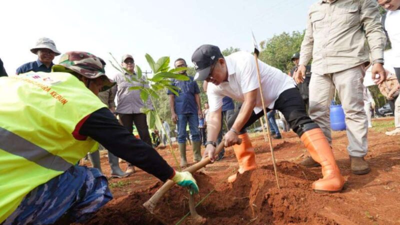 Pemprov Jabar Revitalisasi 32 Hektare Kebun Karet Jalupang Subang