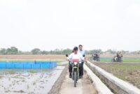 Sidak Sawah Karawang, Mentan Amran Targetkan Tanam 3 Kali Setahun
