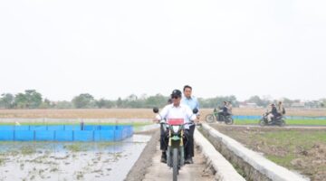 Sidak Sawah Karawang, Mentan Amran Targetkan Tanam 3 Kali Setahun