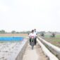 Sidak Sawah Karawang, Mentan Amran Targetkan Tanam 3 Kali Setahun