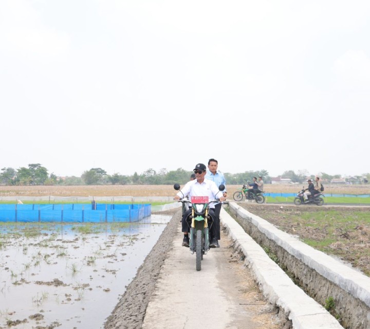 Sidak Sawah Karawang, Mentan Amran Targetkan Tanam 3 Kali Setahun