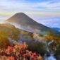 gunung gede 